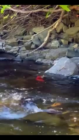 Myla Del Rey onlyfans leak video – river sex
