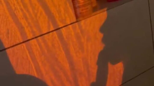 Tayler Hills Nude Blowjob Onlyfans Video Leaked